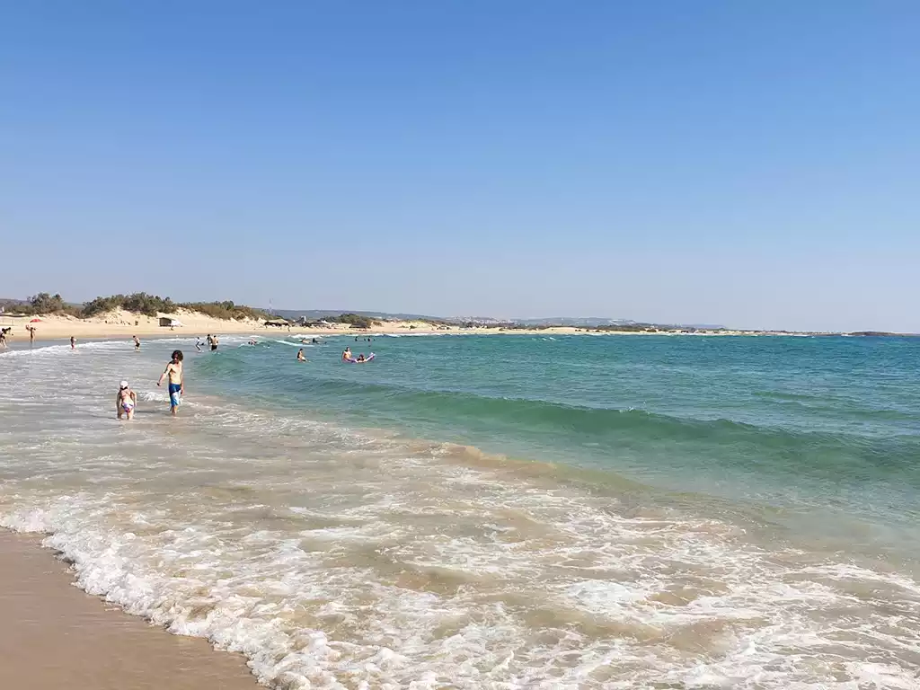 22 late Bronze Age shipwrecks along the Carmel coast of Israel The Carmel coast at Neve Yam