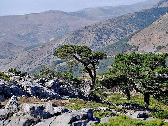 The rugged Sierra de Baza - too much for the GSSR