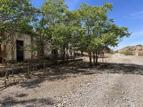 Estación Gorafe 2025