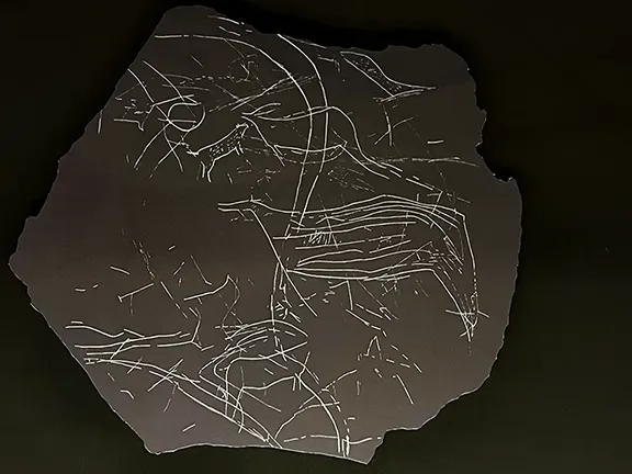 Levantine Cave Art during the Gravettian and Solutrean Iberian Lynx circa 17000 BC