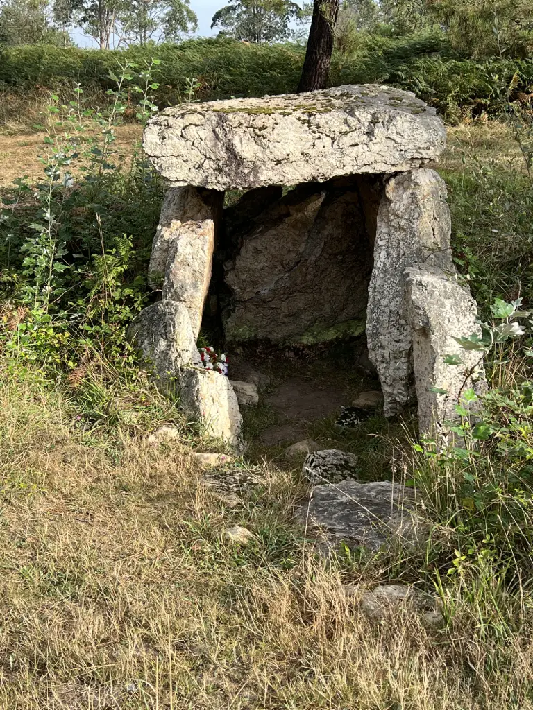 Megaliths of Northern Spain: The Architecture of Anxiety - Simple cist beneath a mámoas at Monte Areo Necropolis
