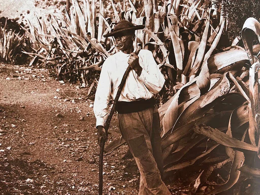 From the Neolithic to the 20th century Campesina in Almeria - Gustavo Gilman 1895