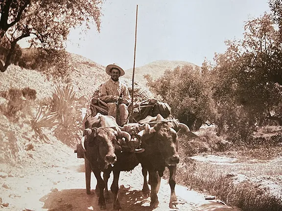 From the Neolithic to the 20th century Ox cart in Almeria about 1896