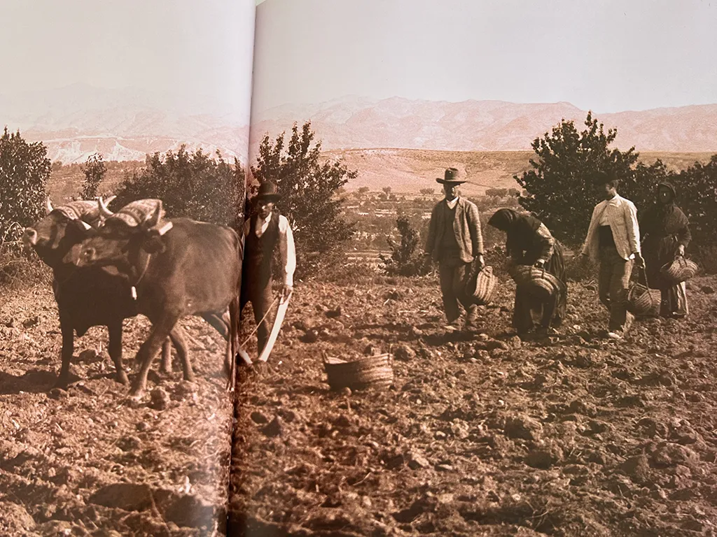 From the Neolithic to the 20th century Harvesting in 20th century in Almeria - Gustavo Gilman 1901