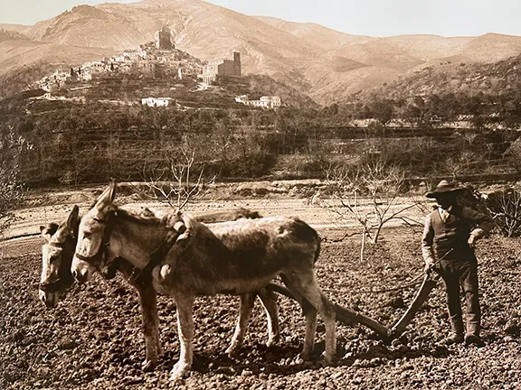 From the Neolithic to the 20th century An arid landscape in Almeria - Gustavo Gilman 1895